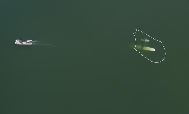 CP2031274279
