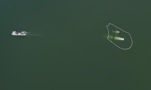 CP2031274279