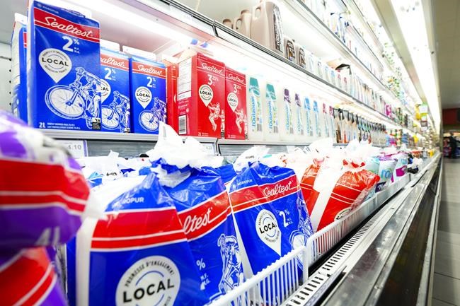 Milk prices to rise two cents a litre this fall in rare mid-year price hike | iNFOnews.ca