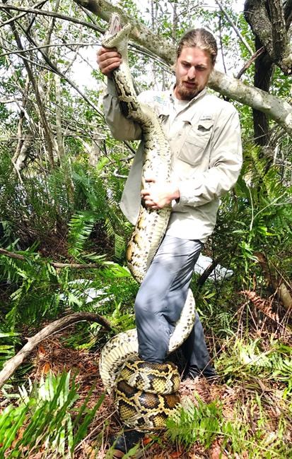 Florida team hauls in 18-foot, 215-pound Burmese python | iNFOnews.ca