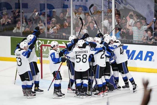 It's a Dogfight! Saint John, Hamilton meet in Memorial Cup final | iNFOnews.ca