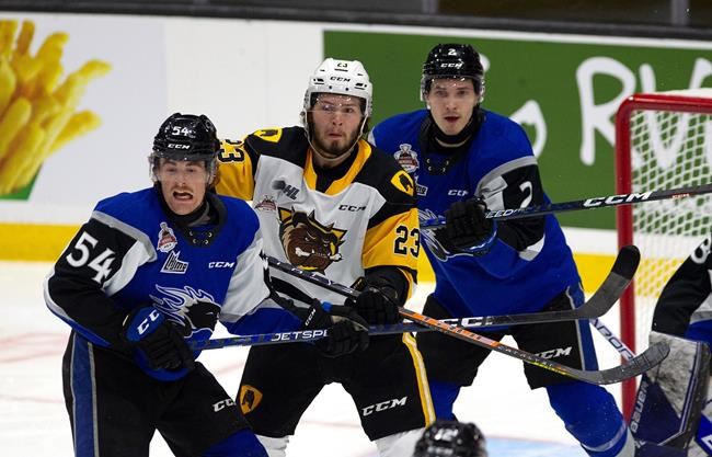 Saint John Sea Dogs win Memorial Cup with 6-3 victory over Hamilton Bulldogs | iNFOnews.ca Saint John Sea Dogs win Memorial Cup with 6-3 victory over Hamilton Bulldogs | iNFOnews.ca
