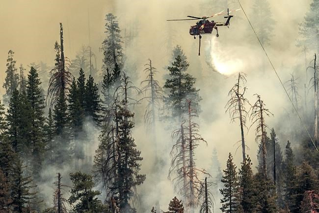 Yosemite wildfire threatens grove of iconic sequoia trees | iNFOnews.ca CP1700307380
