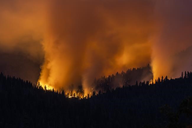 California firefighters gain against Yosemite wildfire | iNFOnews.ca