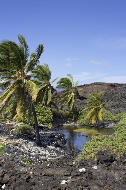 Hawaii national park gets land where ancient villages stood | iNFOnews.ca