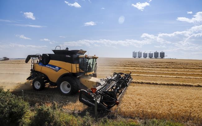 Statistics Canada reports wholesale sales up 1.6 per cent in May at $81.1 billion | iNFOnews.ca Statistics Canada reports wholesale sales up 1.6 per cent in May at $81.1 billion | iNFOnews.ca
