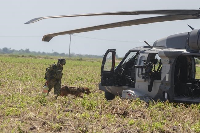 Mexico's capture of drug kingpin could be signal to US | iNFOnews.ca