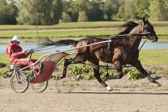 Co-owner Grant not messing with Bulldog Hanover's winning formula | iNFOnews.ca