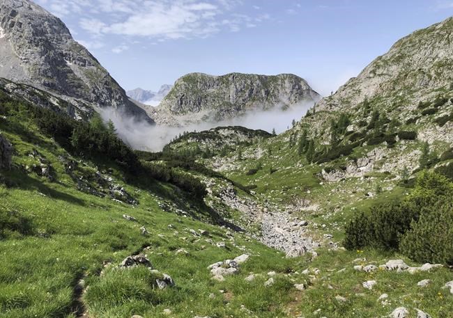 CP403785034