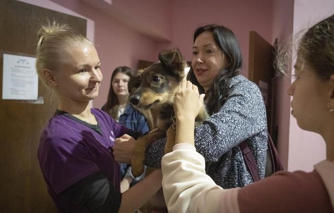 Shelter in Ukraine's capital takes in animals haunted by war | iNFOnews.ca Shelter in Ukraine's capital takes in animals haunted by war | iNFOnews.ca