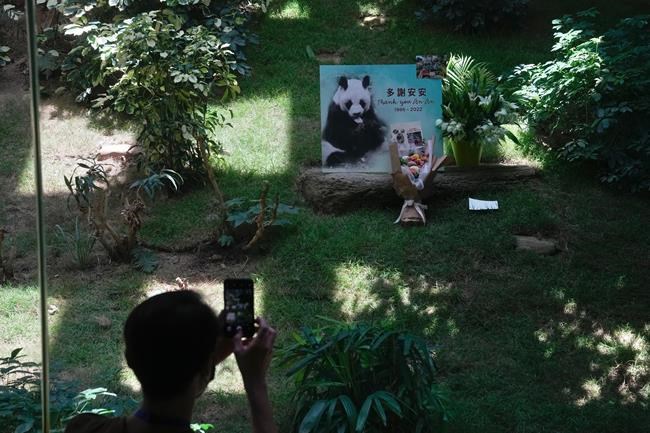World's oldest male giant panda dies at age 35 in Hong Kong | iNFOnews.ca World's oldest male giant panda dies at age 35 in Hong Kong | iNFOnews.ca