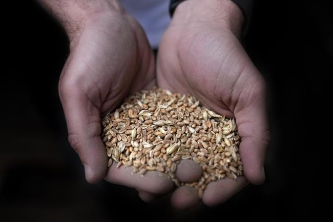 Lebanon's Parliament votes to spend World Bank loan on wheat | iNFOnews.ca