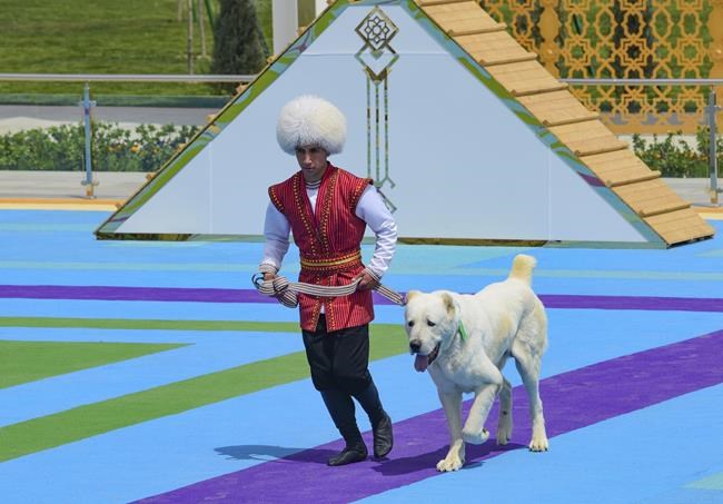 Turkmenistan restricts export of its local Alabay dog breed | iNFOnews.ca Turkmenistan restricts export of its local Alabay dog breed | iNFOnews.ca