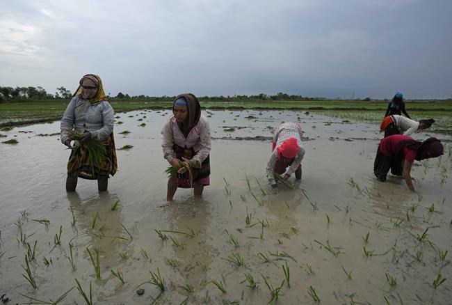 Lightning kills nearly 50 this week in India's Uttar Pradesh | iNFOnews.ca Lightning kills nearly 50 this week in India's Uttar Pradesh | iNFOnews.ca