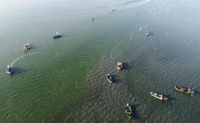 Italy's salty Po Delta hurting agriculture, fisheries | iNFOnews.ca