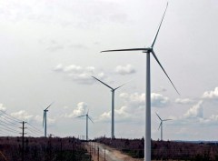 CP1146443515