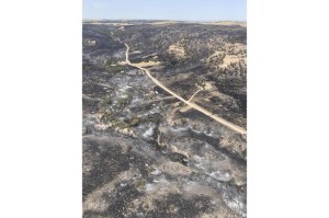 CP1933684633