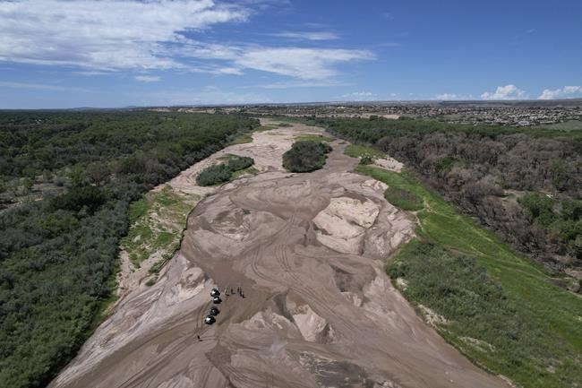 A race to save fish as Rio Grande dries, even in Albuquerque | iNFOnews.ca