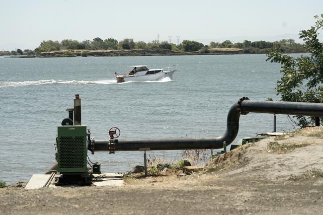 CP2131615004