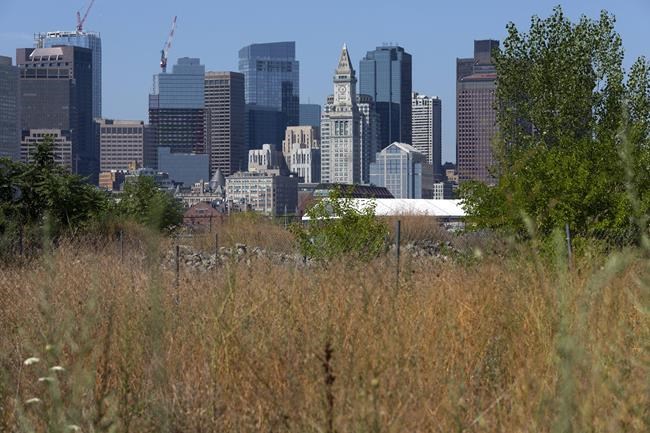 Northeastern farmers face new challenges with severe drought | iNFOnews.ca
