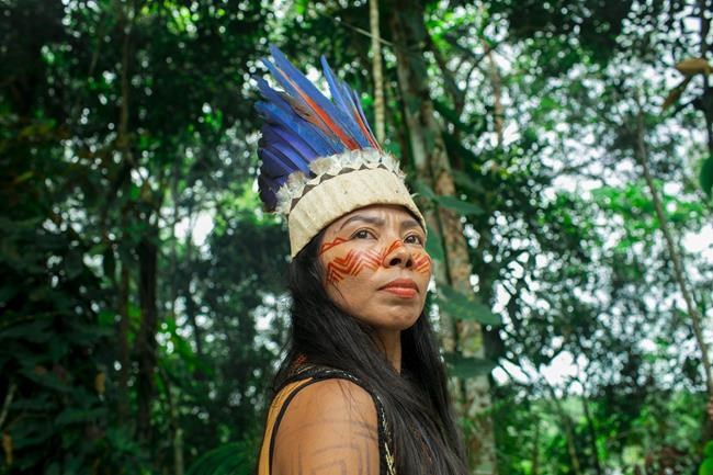 Little talk of rainforest protection in the Brazilian Amazon | iNFOnews.ca Little talk of rainforest protection in the Brazilian Amazon | iNFOnews.ca