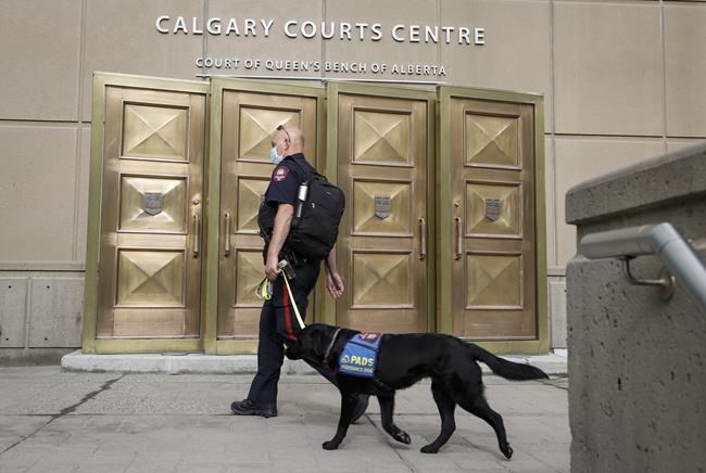 'Sorry': Crown calls for harsh sentence for Calgary man in multimillion-dollar fraud | iNFOnews.ca