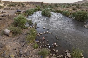 CP2061803029