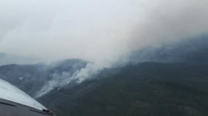 CP446457799