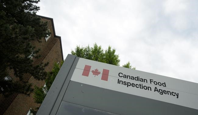 Lab results in Markham, Ont., food poisoning case expected at end of week | iNFOnews.ca Lab results in Markham, Ont., food poisoning case expected at end of week | iNFOnews.ca