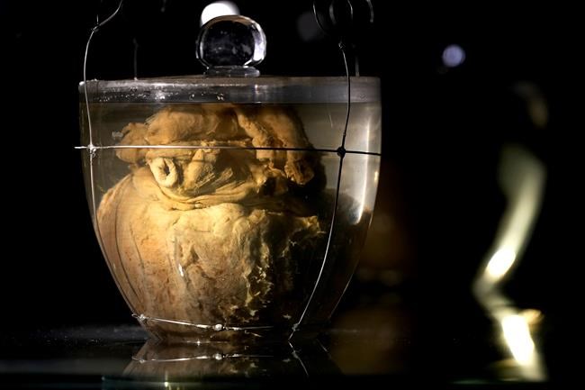 Brazil's independence museum reopening ahead of bicentennial | iNFOnews.ca