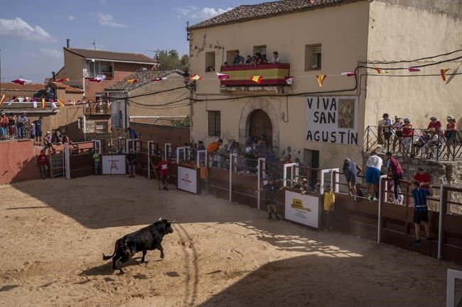 Wave of bull runner deaths turns focus on Spain's fiestas | iNFOnews.ca Wave of bull runner deaths turns focus on Spain's fiestas | iNFOnews.ca