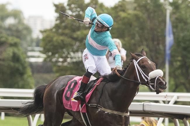 Queen's Plate host to make decision on name in coming days after death of the Queen | iNFOnews.ca Queen's Plate host to make decision on name in coming days after death of the Queen | iNFOnews.ca