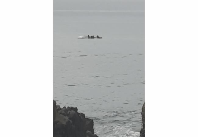5 dead after New Zealand boat flips in possible whale strike | iNFOnews.ca