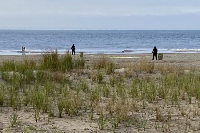 Police believe 3 children drowned by mother at NYC beach | iNFOnews.ca