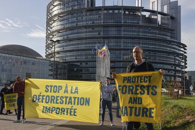 EU lawmakers support ban of goods linked to deforestation | iNFOnews.ca EU lawmakers support ban of goods linked to deforestation | iNFOnews.ca