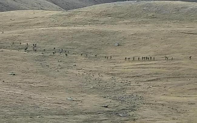 Armenia, Azerbaijan report 99 troops killed in border clash | iNFOnews.ca Armenia, Azerbaijan report 99 troops killed in border clash | iNFOnews.ca