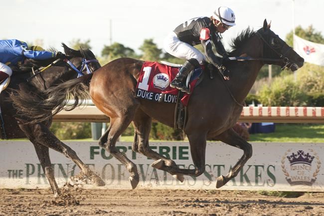 Stein earns first Prince of Wales Stakes win aboard Duke of Love | iNFOnews.ca Stein earns first Prince of Wales Stakes win aboard Duke of Love | iNFOnews.ca
