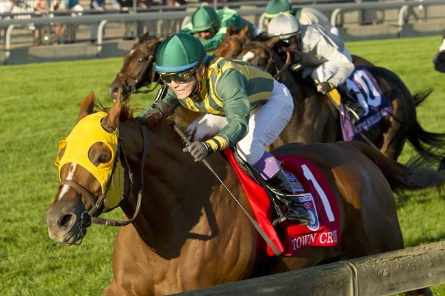 Defending champion Town Cruise highlights solid '22 Ricoh Woodbine Mile field | iNFOnews.ca