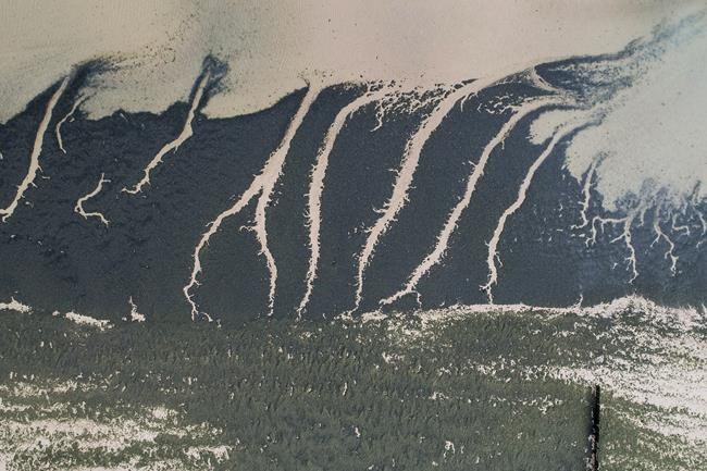 Stories of UK's disappearing World War II generation | iNFOnews.ca