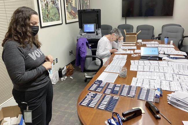 Voter challenges, records requests swamp election offices | iNFOnews.ca CP507852034
