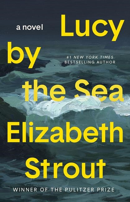 Review: Coming up for air in Strout’s pandemic voyage | iNFOnews.ca Review: Coming up for air in Strout’s pandemic voyage | iNFOnews.ca