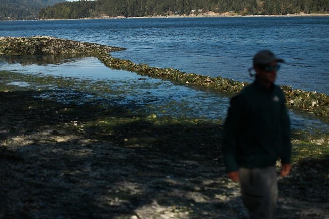 Some B.C. regions at Drought Level 4 as water scarcity affects the province | iNFOnews.ca