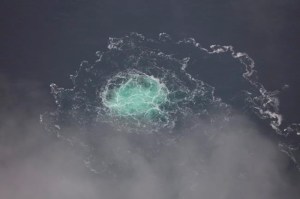 CP1555846962
