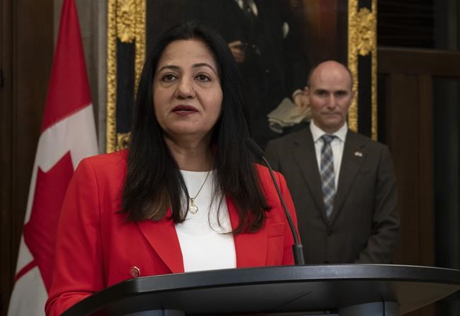 Federal government reveals plan to improve access to diabetes care across Canada | iNFOnews.ca
