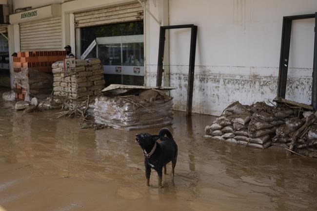 Tales of survival emerge as Venezuela landslide toll hits 34 | iNFOnews.ca