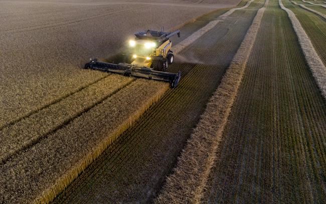 This year's harvest under possible threat of Canada's supply chain shortcomings | iNFOnews.ca CP2086085027