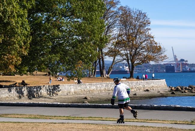 Drought and moths push the trees of Vancouver's Stanley Park to the brink | iNFOnews.ca Drought and moths push the trees of Vancouver's Stanley Park to the brink | iNFOnews.ca