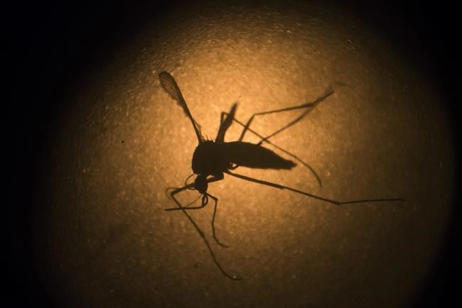 EU regulator recommends clearing Takeda's dengue vaccine | iNFOnews.ca