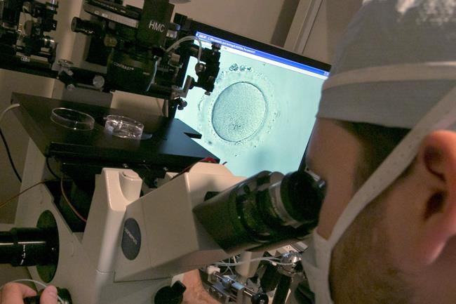 Race gap seen in US infant deaths after fertility treatment | iNFOnews.ca Race gap seen in US infant deaths after fertility treatment | iNFOnews.ca