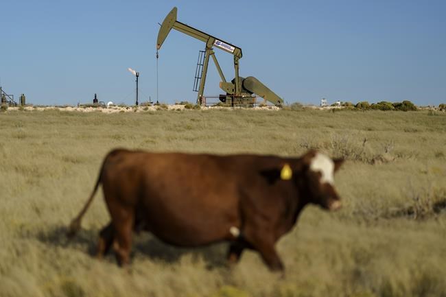 UN weather agency: Greenhouse gases reach new record in 2021 | iNFOnews.ca CP1994802632